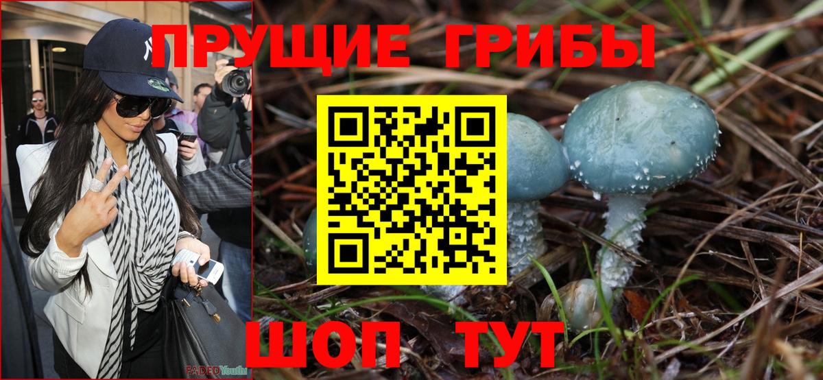 Жигулёвск  Псилоцибиновые грибы ЛСД  Вход с VPN 